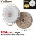 2-in-1 LED Reel String Lights – USB Rechargeable